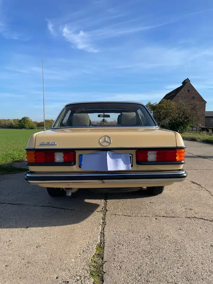 Mercedes-Benz 230, foto 5