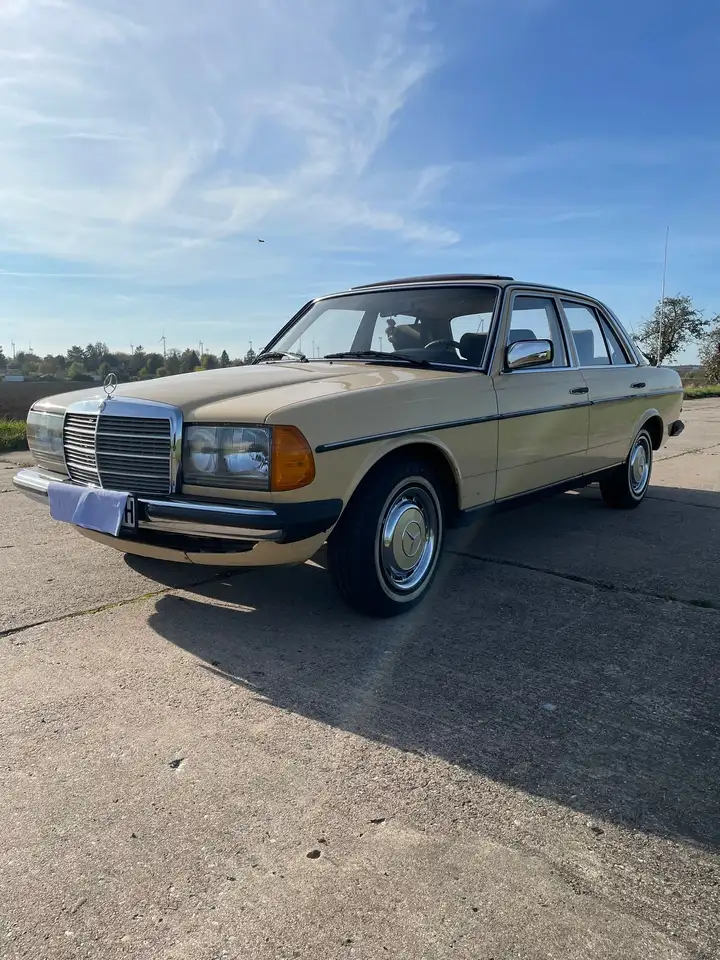 Mercedes-Benz 230, foto 2