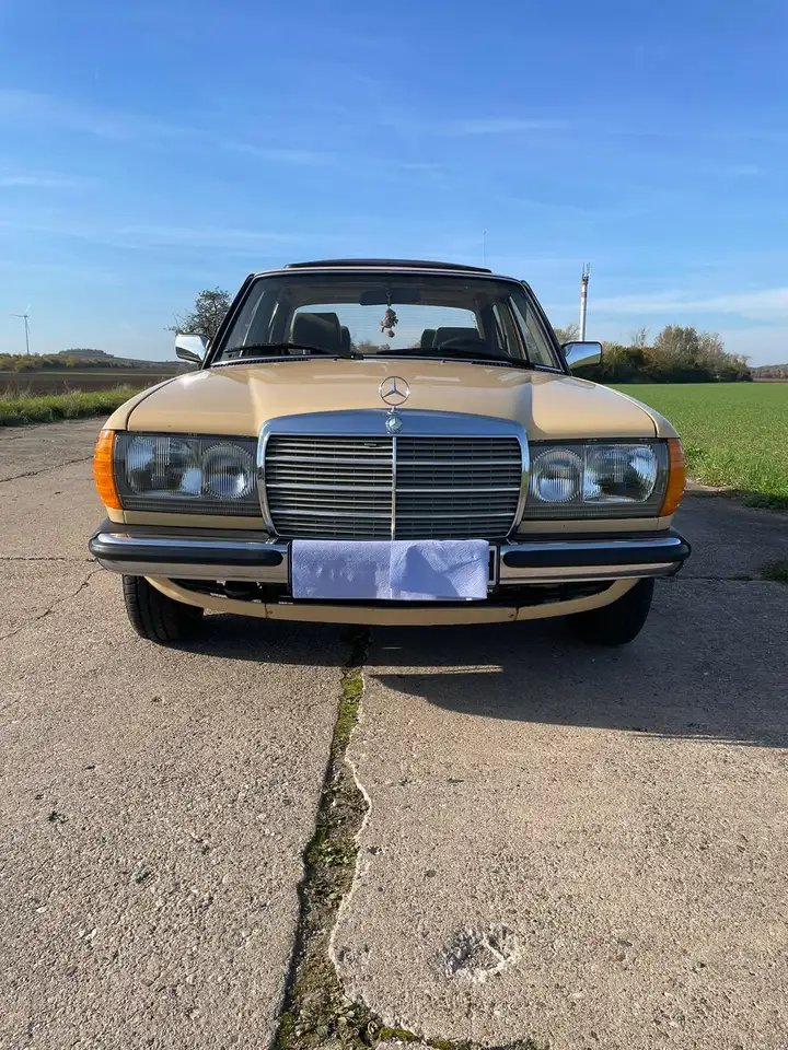 Mercedes-Benz 230, foto 1