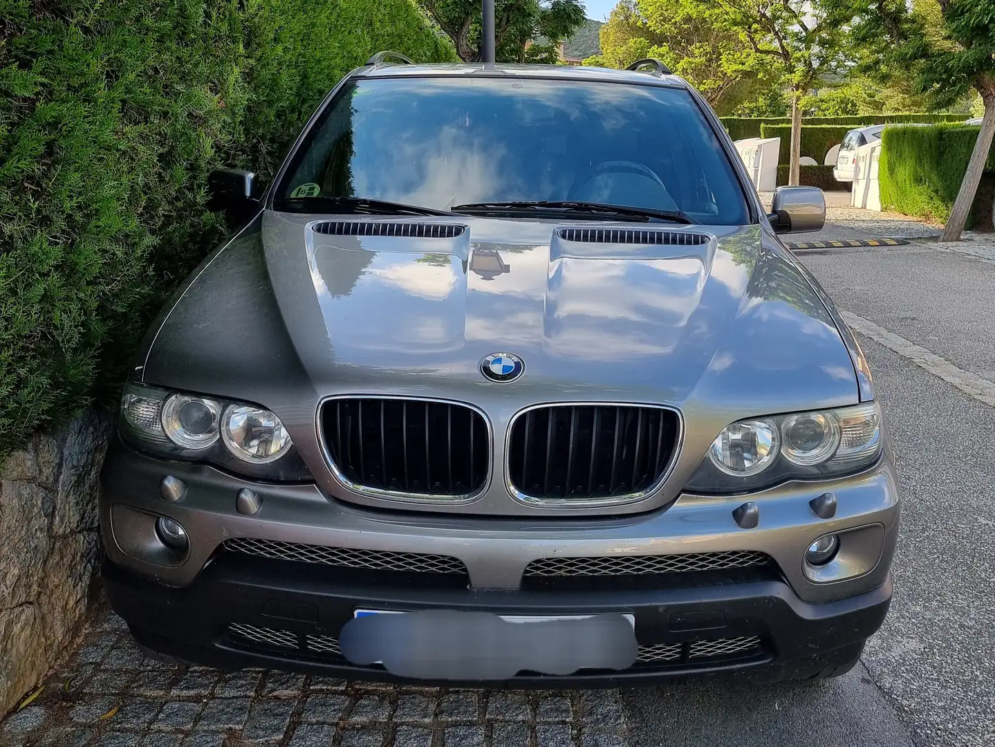 BMW X5 3.0d Aut. Gris - 2