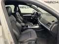 Audi Q5 40 2.0 tdi Business Sport quattro 190cv s-tronic Blanco - thumbnail 14