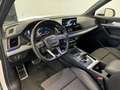 Audi Q5 40 2.0 tdi Business Sport quattro 190cv s-tronic Blanco - thumbnail 9
