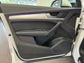 Audi Q5 40 2.0 tdi Business Sport quattro 190cv s-tronic Blanco - thumbnail 10