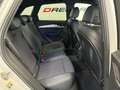Audi Q5 40 2.0 tdi Business Sport quattro 190cv s-tronic Blanco - thumbnail 13