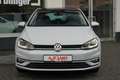Volkswagen Golf VII 1.4 TSI Panorama Standheizung Gris - thumbnail 3