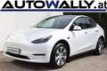 Tesla Model Y Long Range Dual AWD 79kWh Weiß - thumbnail 1
