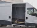 Iveco Daily 35S14 L4H2 Autocarro N1 Blanc - thumbnail 4