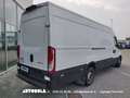 Iveco Daily 35S14 L4H2 Autocarro N1 Blanc - thumbnail 3