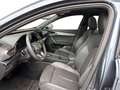 CUPRA Formentor 2.0 TDI DSG 4Drive AHK*PANO*MATRIX*VIRTUAL*NAV*... Grau - thumbnail 11