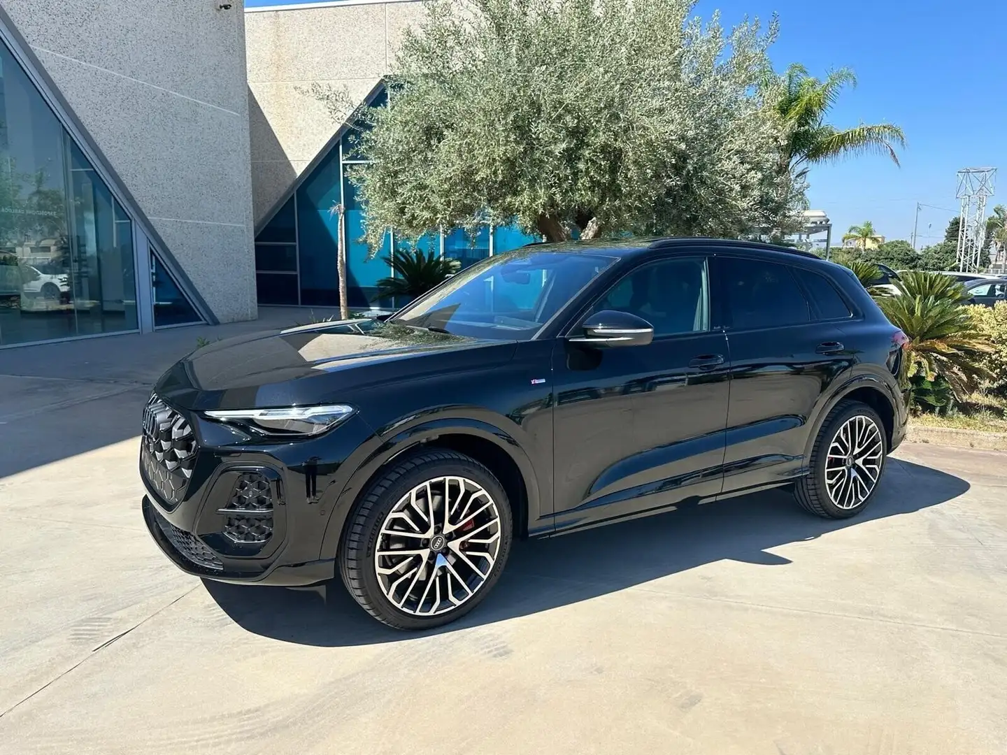 Audi Q5 tdi Sline Anticipo €18.500 noleggio no scoring Nero - 2