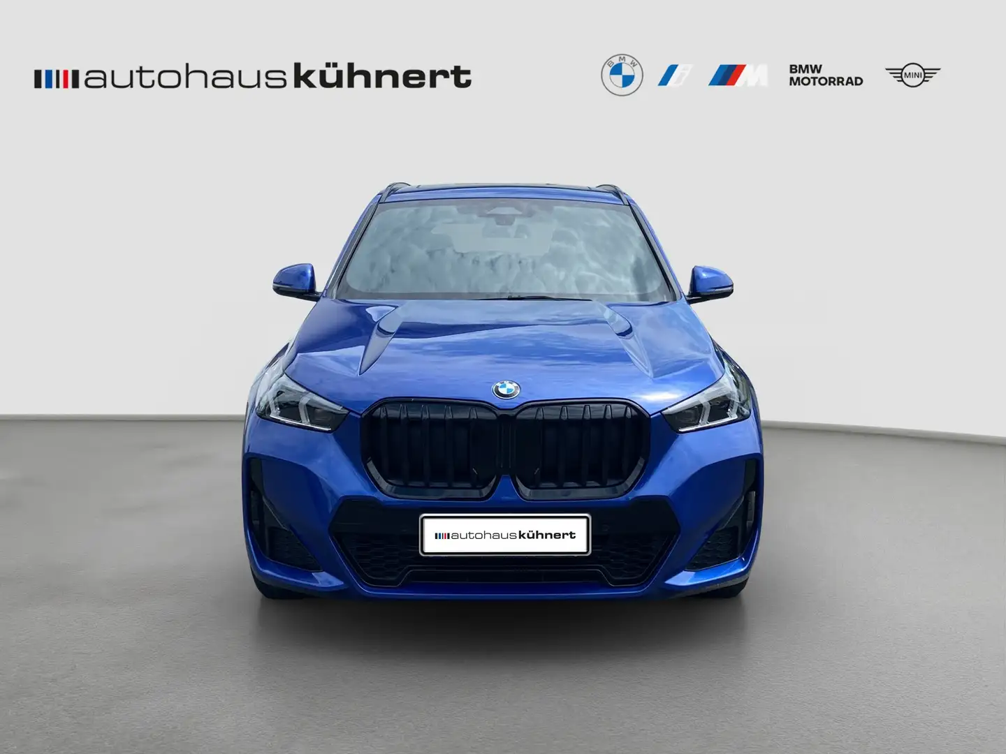 BMW X1 sDrive18d ///M-Sport ACC AHK PanoSD SpurAss Blau - 2