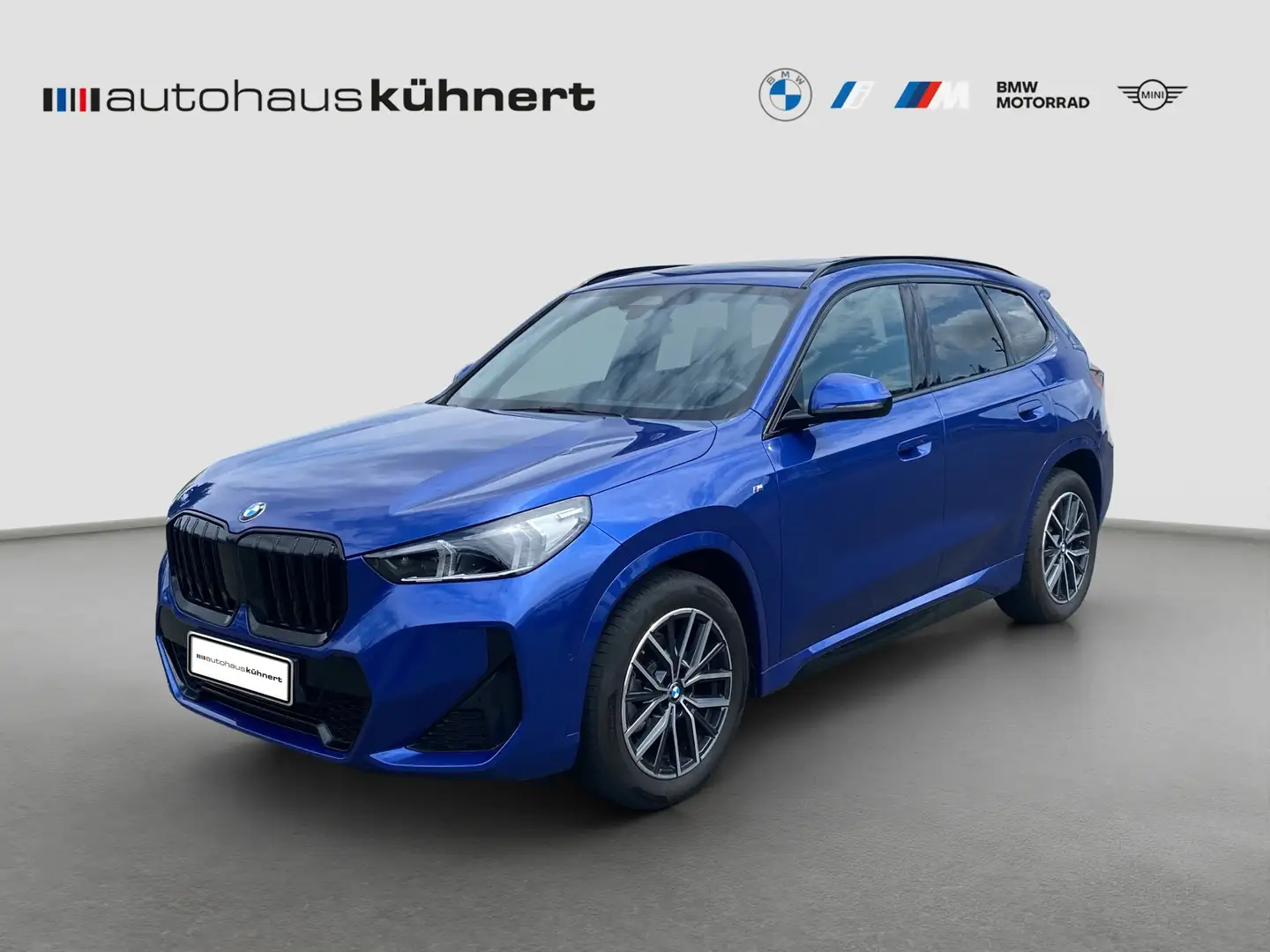 BMW X1 sDrive18d ///M-Sport ACC AHK PanoSD SpurAss Blau - 1