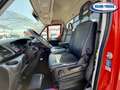Iveco Daily 35c120 ribaltabile NUOVO Rot - thumbnail 9