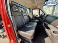 Iveco Daily 35c120 ribaltabile NUOVO Rot - thumbnail 10