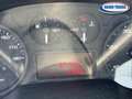 Iveco Daily 35c120 ribaltabile NUOVO Rouge - thumbnail 11