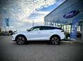 BYD Tang Flagship Facelift 108,8 kWh 517PS GEWERBE AKTION Чёрный - thumbnail 3