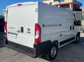 Fiat Ducato 28 CH1 2.3 M-JET FURGONE PASSO CORTO 3 POSTI-2020 Bianco - thumbnail 3