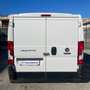 Fiat Ducato 28 CH1 2.3 M-JET FURGONE PASSO CORTO 3 POSTI-2020 Bianco - thumbnail 4