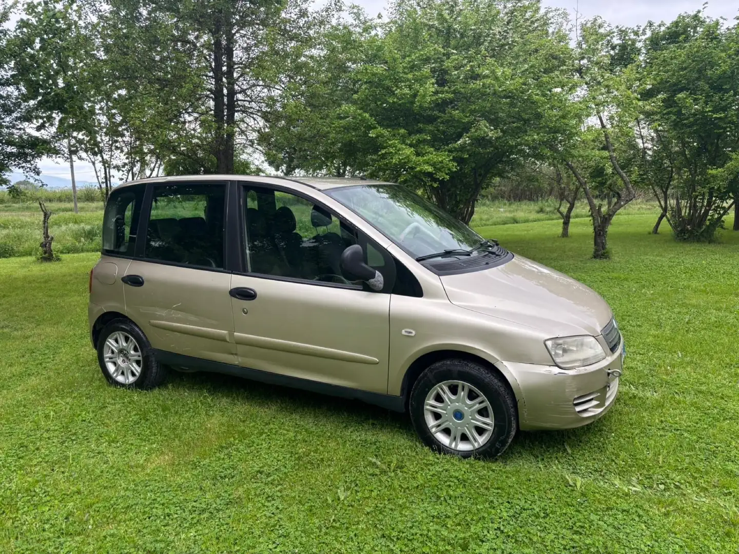 Fiat Multipla 1.6 16v Family natural power Beige - 2