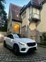 Mercedes-Benz GLE 450 GLE 450 / GLE 43 AMG 4Matic (292.364) Voll Weiß - thumbnail 1