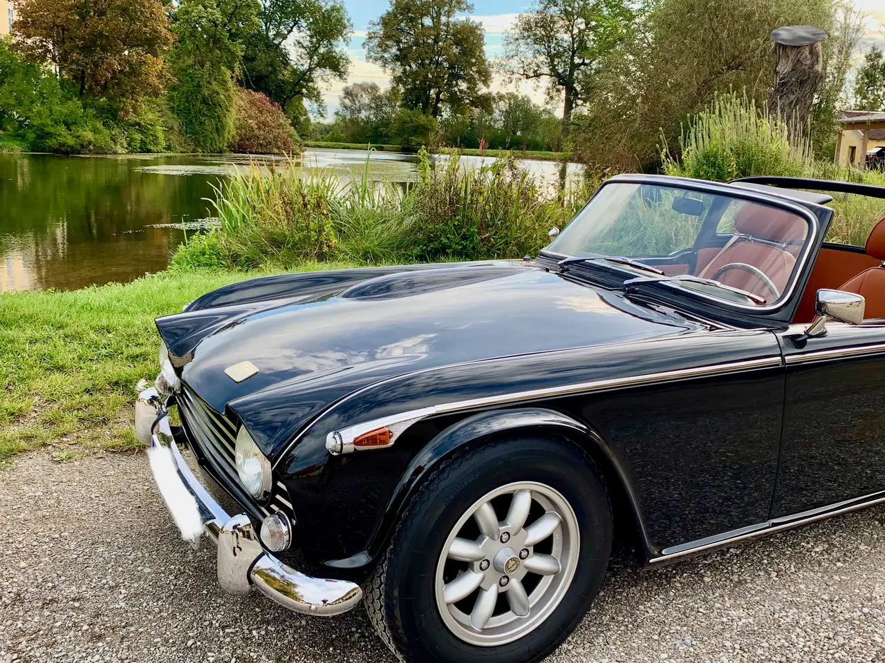 Triumph TR5 TR250 Roadster, Matching Numbers, foto 5