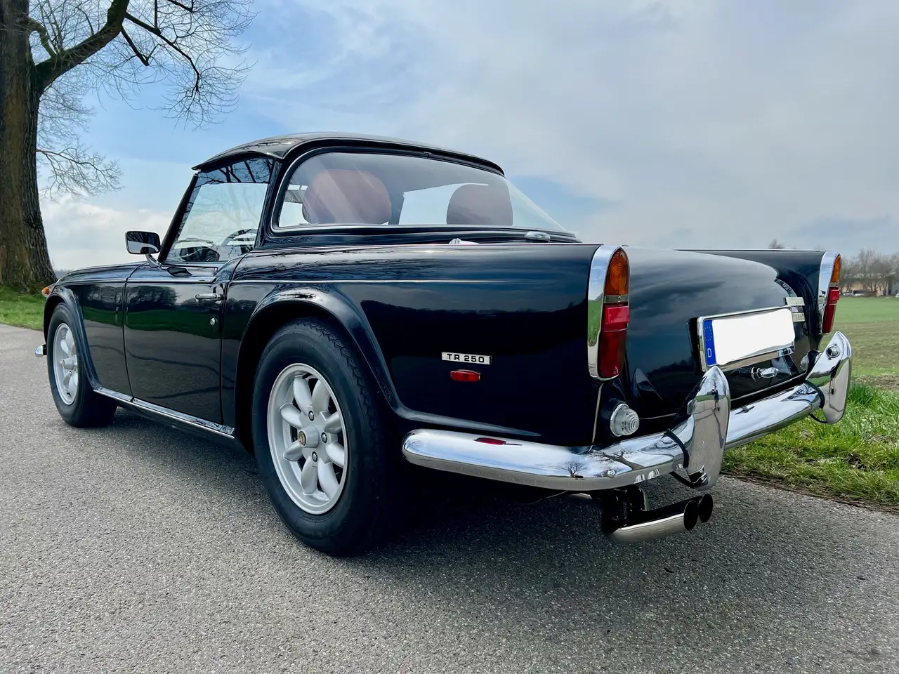 Triumph TR5 TR250 Roadster, Matching Numbers, foto 11