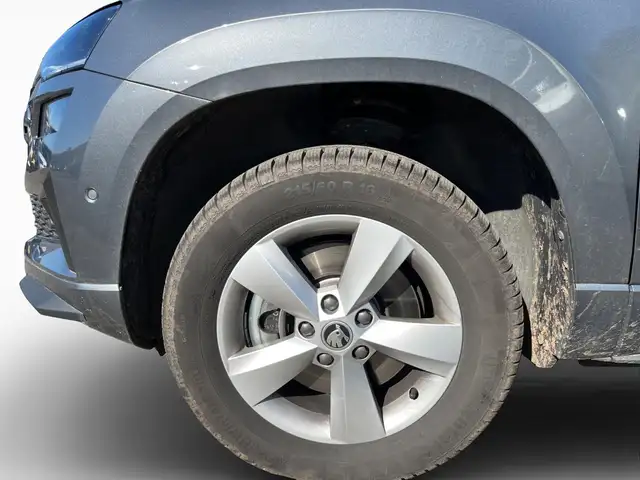 Skoda Karoq view 5