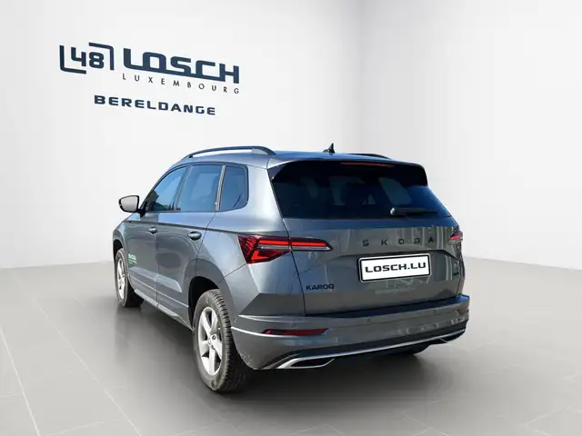 Skoda Karoq view 3