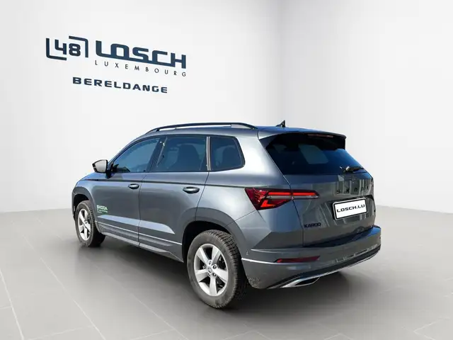 Skoda Karoq view 2