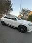 Mercedes-Benz GLE 400 d Premium Plus 4matic  7 posti AMG line perlato - thumbnail 6