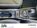 Skoda Scala Monte Carlo AHZV FahrerassistPLUS Navigation Grau - thumbnail 12