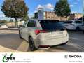 Skoda Scala Monte Carlo AHZV FahrerassistPLUS Navigation Grau - thumbnail 15
