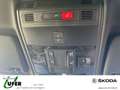 Skoda Scala Monte Carlo AHZV FahrerassistPLUS Navigation Grau - thumbnail 13