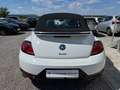 Volkswagen Beetle Beetle Cabrio 2,0 TSI Exclusive R-Line FENDER Weiß - thumbnail 7