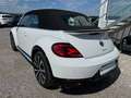 Volkswagen Beetle Beetle Cabrio 2,0 TSI Exclusive R-Line FENDER Weiß - thumbnail 5
