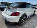 Volkswagen Beetle Beetle Cabrio 2,0 TSI Exclusive R-Line FENDER Weiß - thumbnail 6