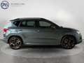 CUPRA Ateca 2.0 TSI DSG 4Drive Grau - thumbnail 6