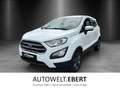 Ford EcoSport 1.0 EcoBoost Trend Start/Stopp Bianco - thumbnail 1