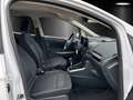 Ford EcoSport 1.0 EcoBoost Trend Start/Stopp Bianco - thumbnail 8