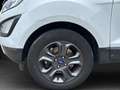 Ford EcoSport 1.0 EcoBoost Trend Start/Stopp Alb - thumbnail 15