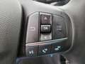 Ford Fiesta 1.0 EcoBoost C&C PDC+LED+SHZ/Lenkrad Klima Bleu - thumbnail 13