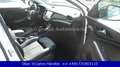 Opel Grandland X 2.0 D StartStop Automatik*INNOVATION Weiß - thumbnail 15