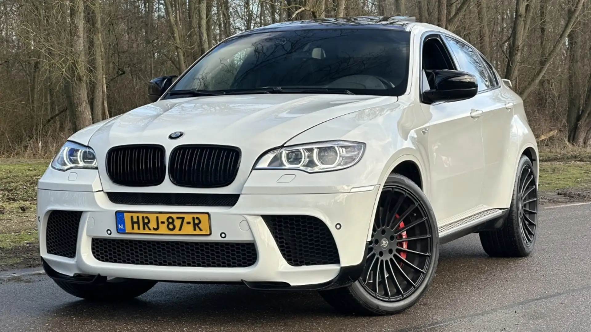 BMW X6 xDrive50i High Exe. Weiß - 1