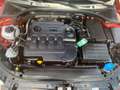 Skoda Octavia Combi Scout 4x4 Rot - thumbnail 14