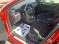 Skoda Octavia Combi Scout 4x4 Rot - thumbnail 10