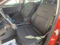 Skoda Octavia Combi Scout 4x4 Rot - thumbnail 9