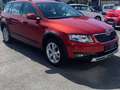 Skoda Octavia Combi Scout 4x4 Rot - thumbnail 3