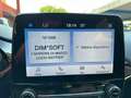 Ford Fiesta Fiesta VII 2022 5p 5p 1.1 Titanium 75cv Gris - thumbnail 11
