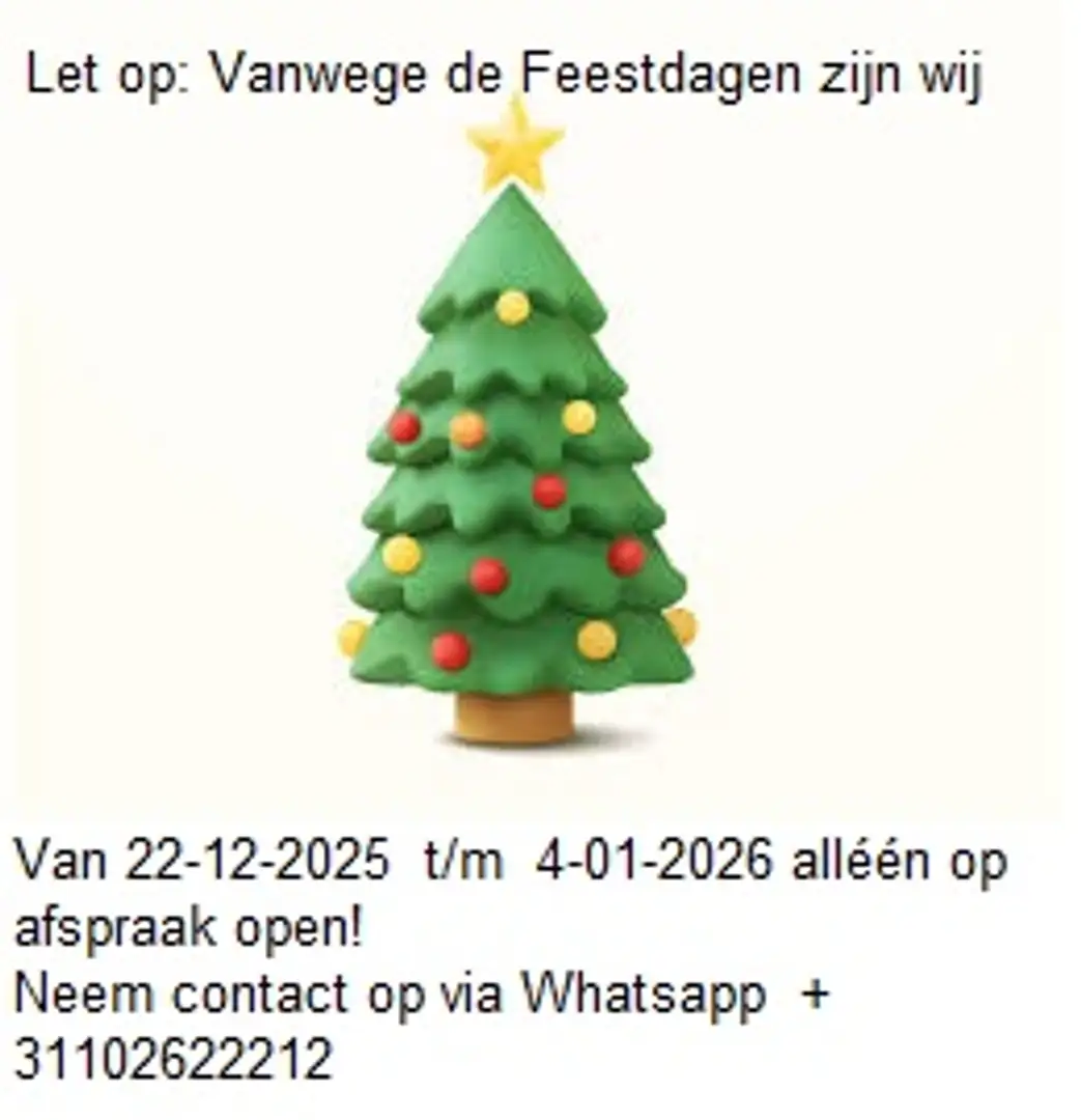 Renault Scenic 1.4 TCE Parisienne *Zéér MOOI* Leren bekleding LET Grau - 2