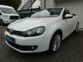 Volkswagen Golf VI Cabrio Cup 1. HD | Navi | SHZ | PDC |AHK Blanc - thumbnail 3